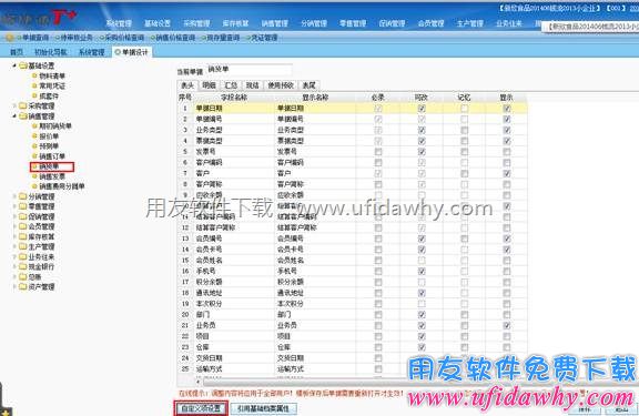 进行单据自定义项设置图示