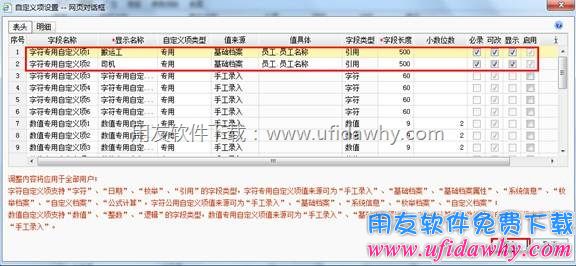 设置字符型自定义项图示