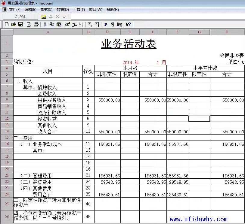 民间非盈利组织的业务活动表模板取数后图示