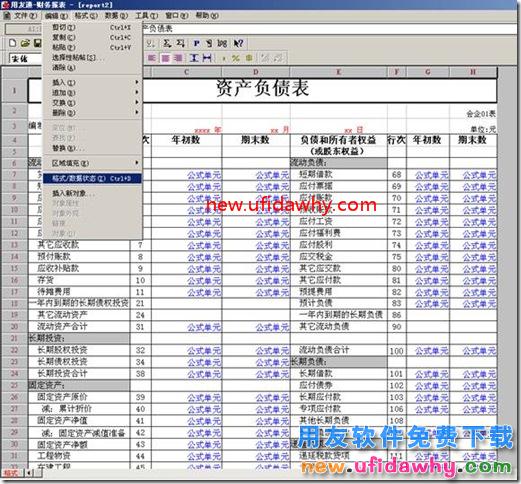 用友T3财务报表模板中没有“格式”“数据”字样？ 用友T3 第4张